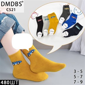 Детские носки машина ассорти DMDBS оптом мешками Арт C521 19648